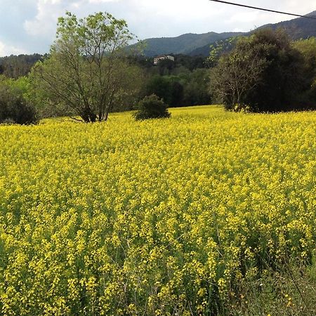 Casa Rural Can Panxa Sant Pere de Vilamajor エクステリア 写真