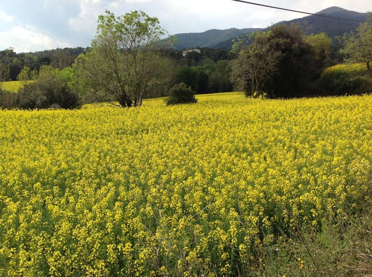 Casa Rural Can Panxa Sant Pere de Vilamajor エクステリア 写真